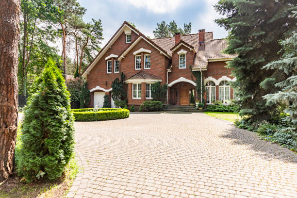 Best Professional Driveway Pavers  in Andrews, SC