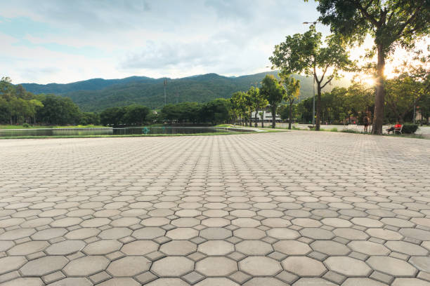 Best Driveway Pavers Near Me  in Andrews, SC